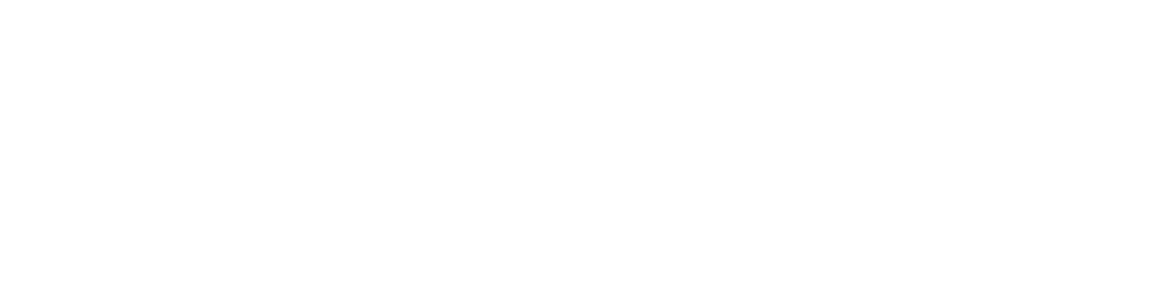 SFONDA Logo